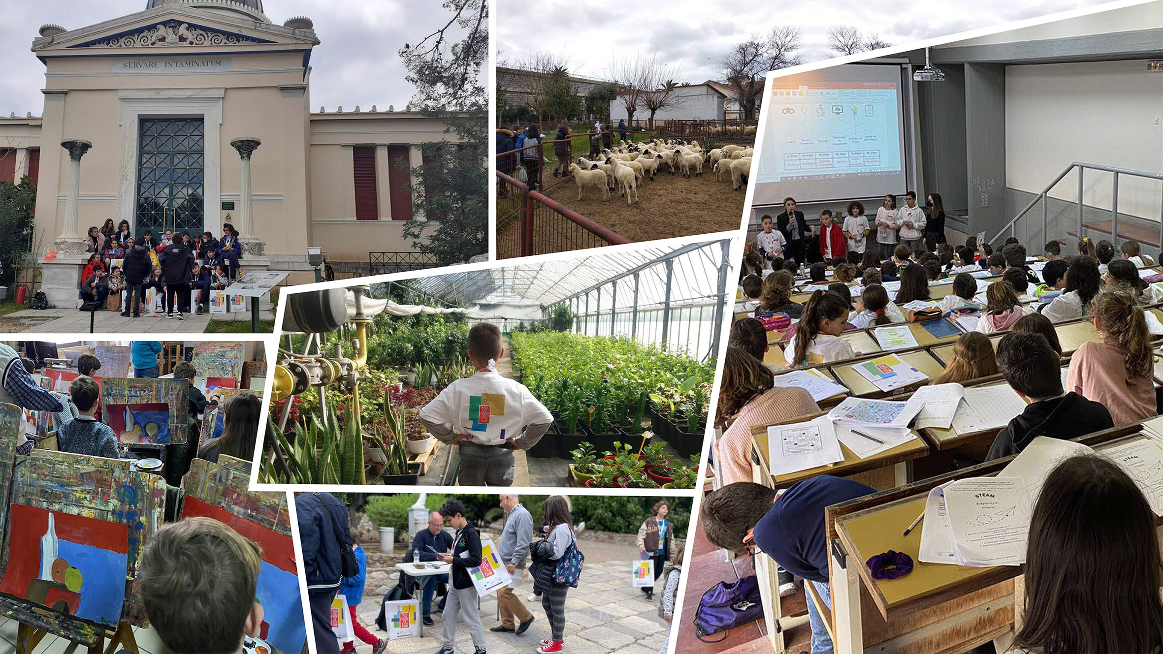 Collage_photos_Pep_Attikhs_V3